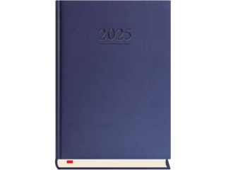 Terminarz Menadżera 2025^- granat