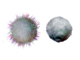 POMPONY AKRL, BIA I BR A`85 105
