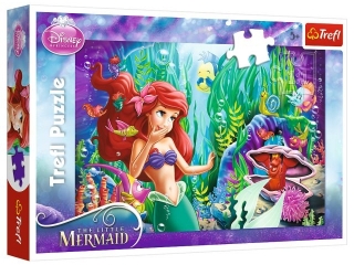 Puzzle "100 Zabawa w chowanego" / Disney Princess