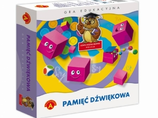 PAMIĘĆ DŹWIĘKOWA