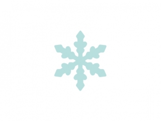 DZIURKACZ OZDOBNY 1.6CM ŚNIEŻYNKA