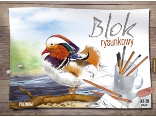 Blok rysunkowy Premium A3-20/ 100g/m2