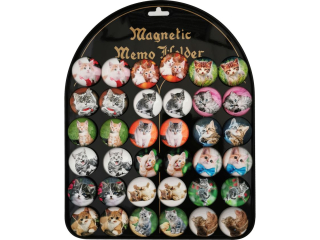 Magnesy koty MG-0099 36szt.=1 blacha