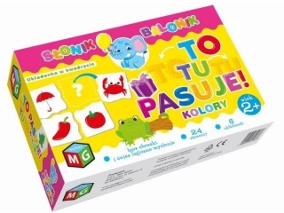 TO TU PASUJE - KOLORY - SONIK BALONIK