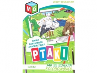 PTAKI- JAK ZE ZDJCIA KOLOROWANKA