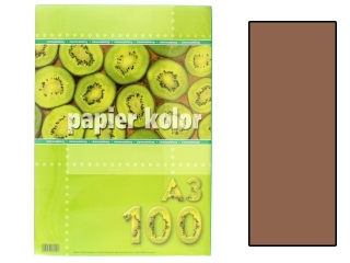 Papier (jk) A3-100 brzowy