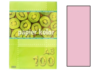 Papier (jk) A3-100 j.rowy