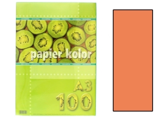 Papier (jk) A3-100 pomaraczowy
