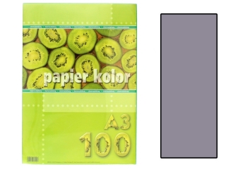Papier (jk) A3-100 popielaty