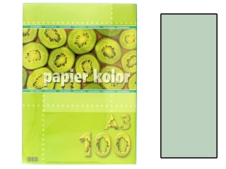 Papier (jk) A3-100 seledynowy