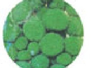 Pompony POM-135 jasnozielone 80szt