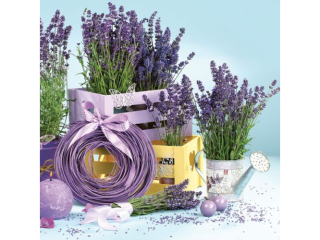 Serwetki POL-MAK Maki Lunch 33cm 20szt. Lavender Indoors SLOG036001 [opakowanie=12szt]
