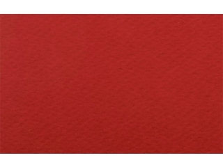 Papier A4 05 Rubino 220g(1 op. = 50 arkuszy)