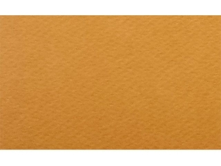 Papier A4 10 Tabacco 220g(1 op. = 50 arkuszy)