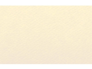 Papier A4 12 Camoscio 220g(1 op. = 50 arkuszy)