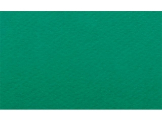 Papier A4 17 Verde 220g(1 op. = 50 arkuszy)