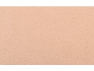 Papier A4 30 Salmone 220g(1 op. = 50 arkuszy)