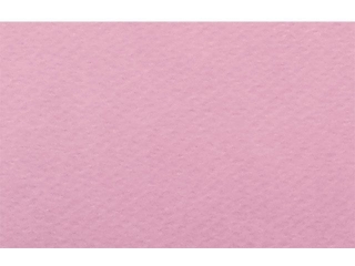 Papier A4 31 Rosa 220g(1 op. = 50 arkuszy)