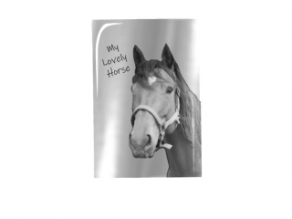 Notes PASO HORSE 14, 8x21
