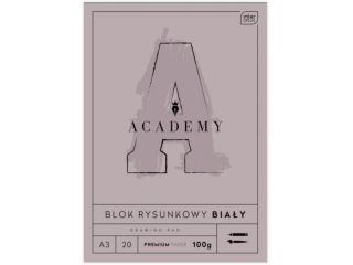 Blok rysunkowy A3 20 100g ACADEMY [opakowanie=10szt]