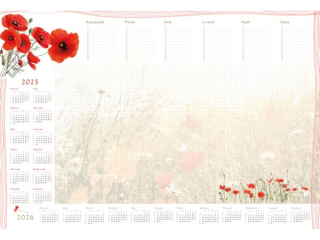 Termi.-Planer B3 z list.`25^Maki