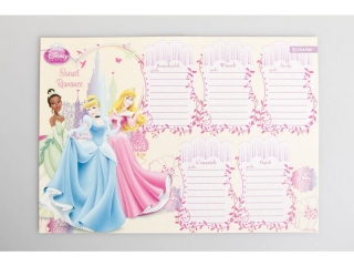 PLAN LEKCJI Z MAGNESEM PRINCESS [opakowanie=12szt]