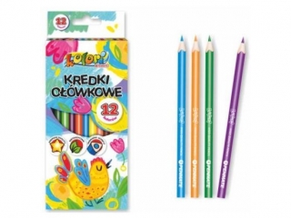 PENMATE KOLORI PREMIUM 2 KREDKI OŁÓWKOWE TRÓJKĄTNE 12 KOLORÓW