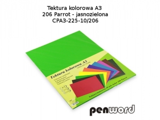 BRYSTOL/TEKTURA KOL. A3 206 PARROT/JASNOZIELONA a10 CPA3-225-10 (SZPSH) - dostępność 6.07.25