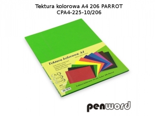 BRYSTOL/TEKTURA KOL. A4 206 PARROT/ZIELONA CPA4-225-10 (SZPSH) - dostępność 6.07.25