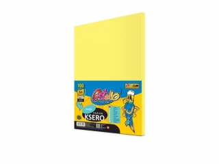 Papier ksero A4 160gr PASTELOWY 100 arkuszy IT160 ӣTY PAS-2293