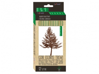 Ołówki z drewna cedrowego 12 sztuk HB, B, 2B, 3B, 4B, 5B, 6B, 7B, 8B, 9B, H, 2H MIX CEDR LOVE
