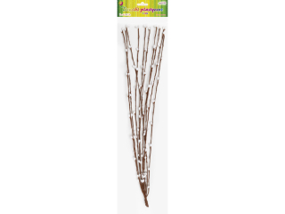 Druciki plastyczne DPW-0080 bazie dł.40cm op.10szt