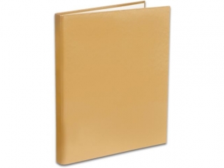 PENMATE SEGREGATOR TT-40 A4/4 WĄSKI 2 CM KOLOR ZŁOTY