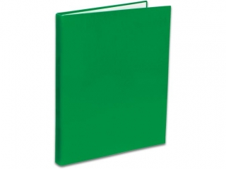 PENMATE SEGREGATOR TT-40 A4/4 WĄSKI 2 CM KOLOR ZIELONY
