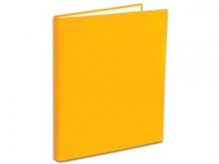 PENMATE SEGREGATOR TT-40 A4/4 WĄSKI 2 CM KOLOR POMARAŃCZOWY
