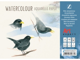 Blok akwarelowy Art Expert A5-10 300g