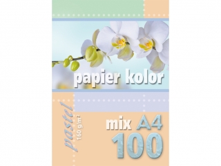 Papier pastel mix A4-100 160g