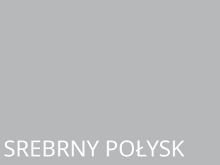 Karton A1-10 srebrny połysk