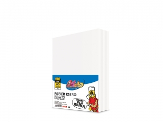 Papier ksero A5 80 gr BIAŁY 500 arkuszy PAS-0961