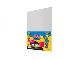 Papier ksero A4 160gr INTENSYWNY 50 arkuszy IT272 SZARY PAS-7335