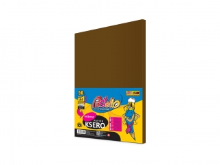 Papier ksero A4 160gr INTENSYWNY 50 arkuszy IT43A BRAZOWY PAS-7311