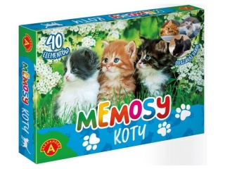PAMIĘĆ - MEMOSY - KOTY