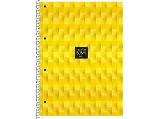 Ko�ozeszyt Student book, A4 LI 80K bia�y papier 70g, ok�adka 210g [opakowanie=4szt]
