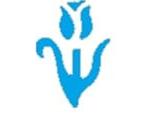 Dziurkacz ozdobny rozmiar: 2, 5cm wzór: tulipan