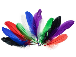 Piórkagęsie rozmiar: 15 - 20cm ilość: 12 szt kolor: mix jaskrawy