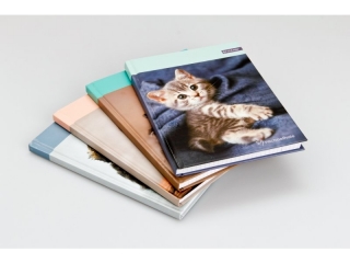 BRULION A5/96k. Kratka RACHAEL HALE