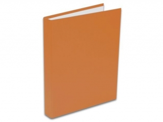 PENMATE SEGREGATOR A5/2 KOLOR OCHRA CIEMNA