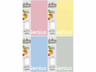 Ko�ozeszyt A4 linia 80k, "Genius" [opakowanie=4szt]