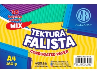 Tektura falista ASTRAPAP A4 mix 10 kol 160g, zestaw