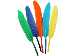 Pirka dekoracyjne lotki mix kolorw 60szt. TITWLK